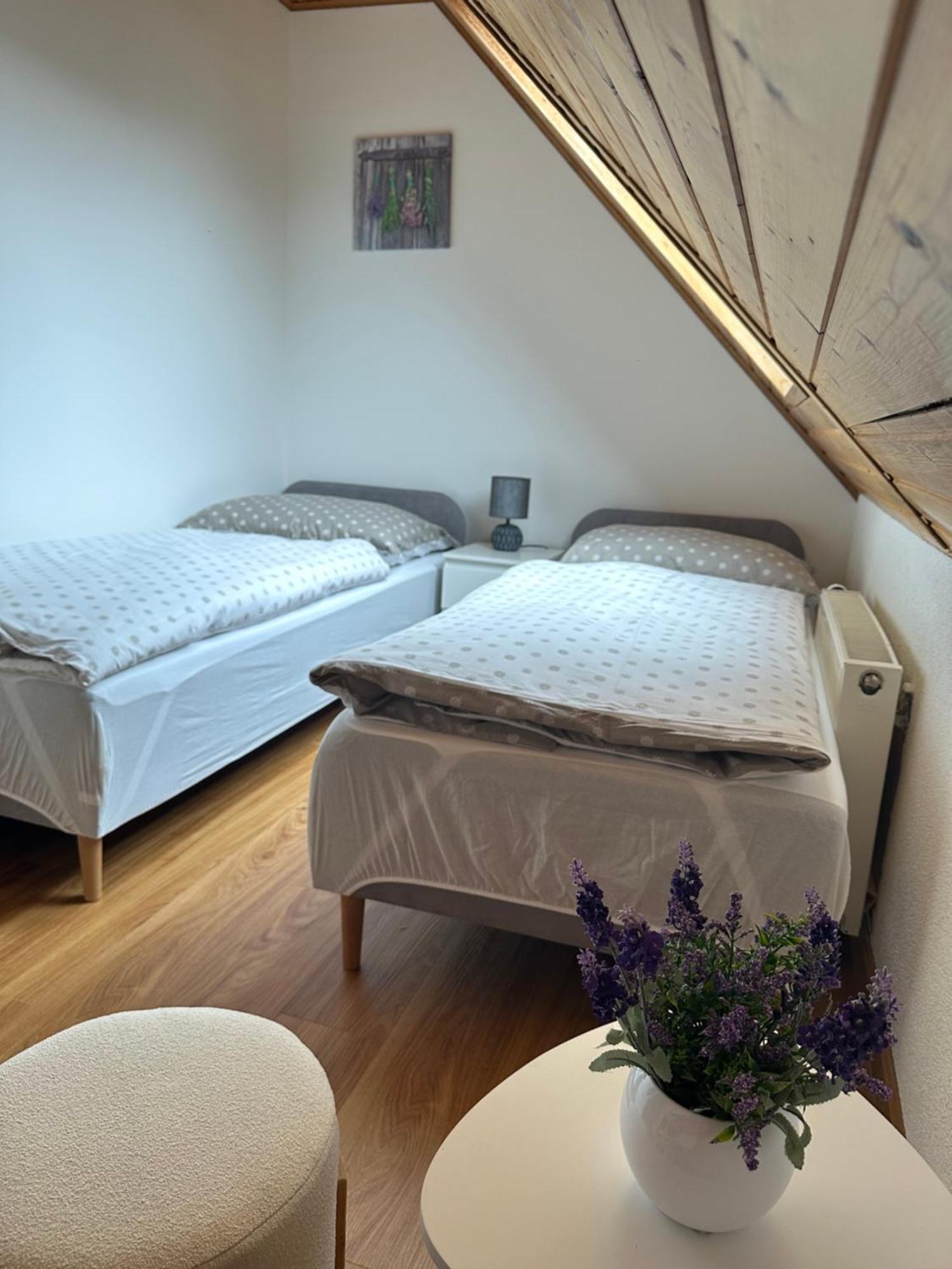 Apartman Jako U Babicky Tisá Extérieur photo